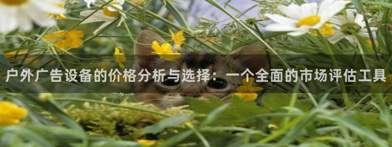 杏宇平台招商怎么样：户外广告设备的价格分