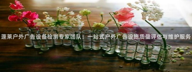 杏宇平台总代理是谁：蓬莱户外广告设备检测专家团队：一站式户外广告设施质量评估与维护服务