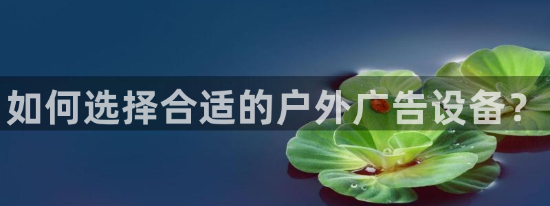 杏宇平台代理怎么样可靠吗：如何选择合适的户外广告设备？