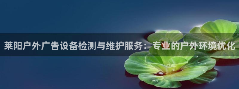 杏宇平台测速链接：莱阳户外广告设备检测与维护服务：专业的户外环境优化